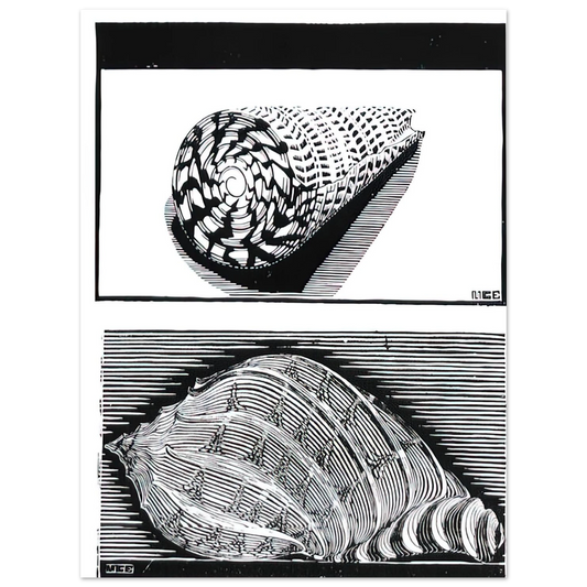 Sea Shells by M.C. Escher – art poster, view 2