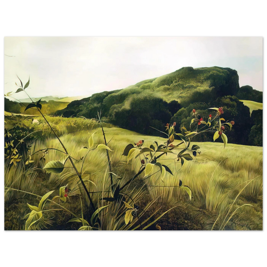 Blackberry Picker by Andrew Wyeth – art poster, view 2