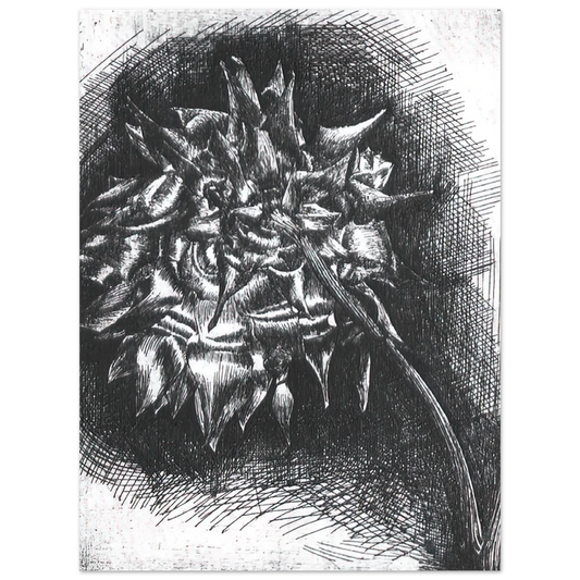 Flower by M.C. Escher – art poster, view 2