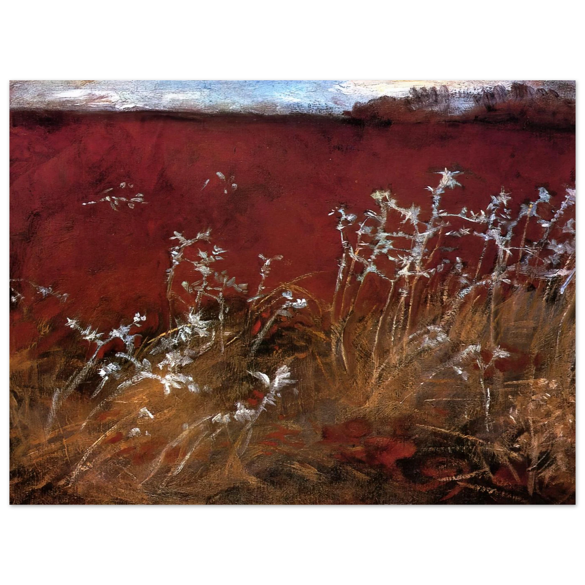 Thistles by John Singer Sargent – art poster