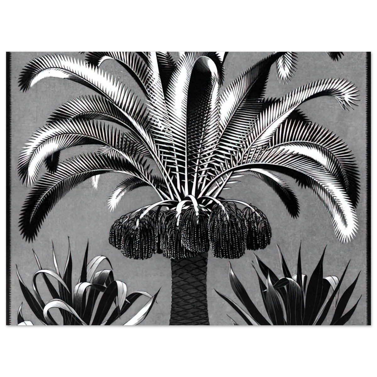 Palm by M.C. Escher – art poster