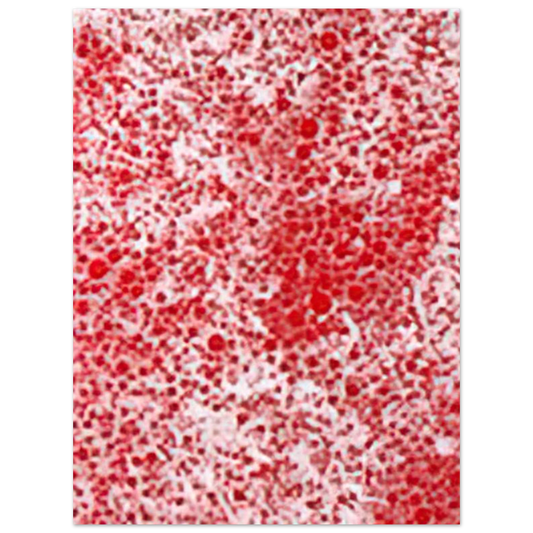 Beyond The End Of The Century by Yayoi Kusama (1987) – art poster, view 2