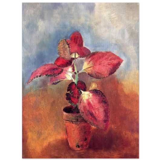 Begonia In A Pot by Odilon Redon – art poster, view 2