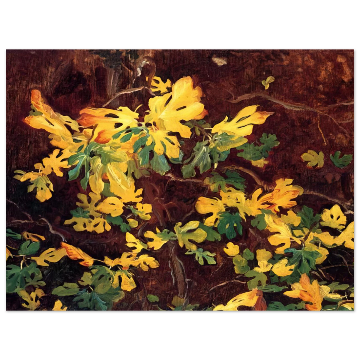 Study Of A Fig Tree by John Singer Sargent – art poster