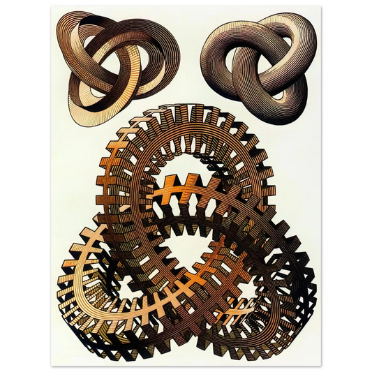 Knots Colour by M.C. Escher – art poster, view 2