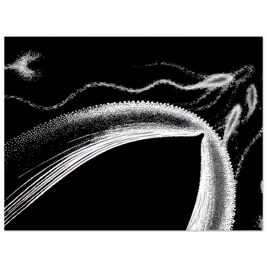 Dolphins by M.C. Escher – art poster, view 2
