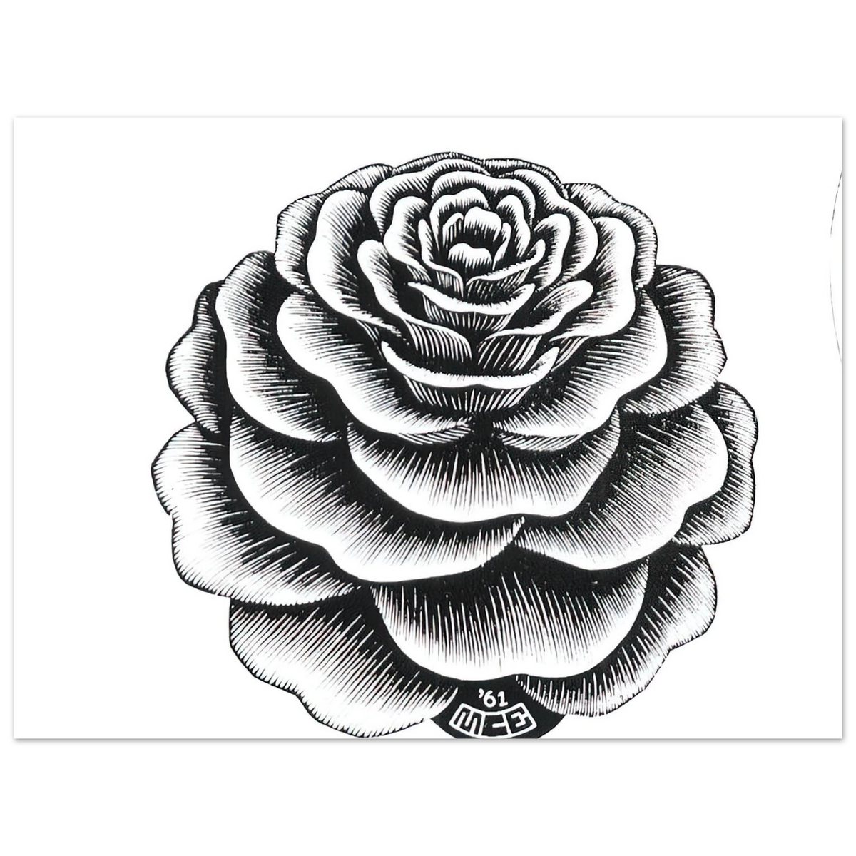 Flower 1 by M.C. Escher – art poster