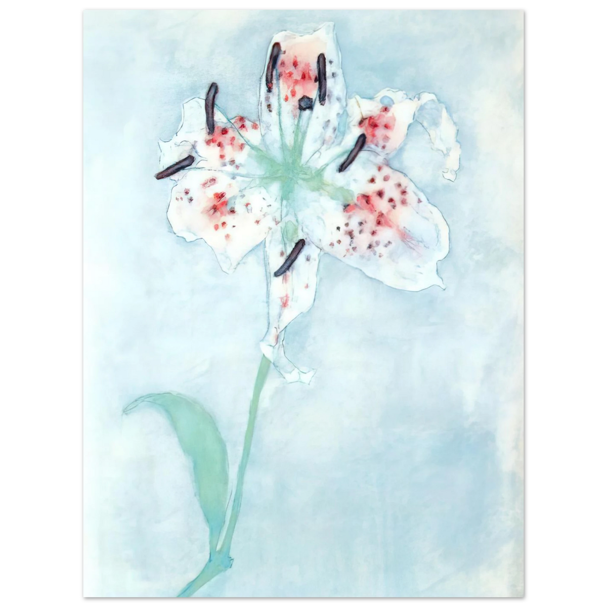 Lily by Piet Mondrian – art poster