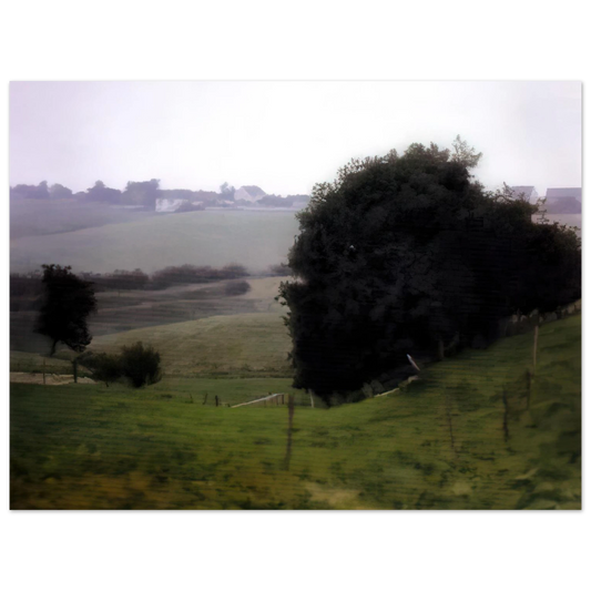 Meadowland by Gerhard Richter – art poster, view 2