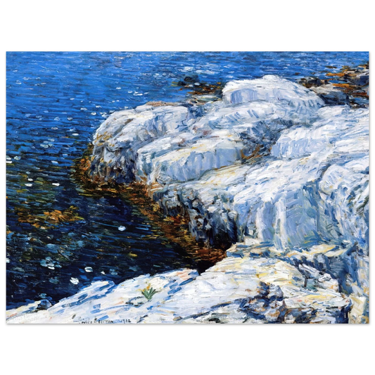 Jelly Fish by Childe Hassam – art poster, view 2