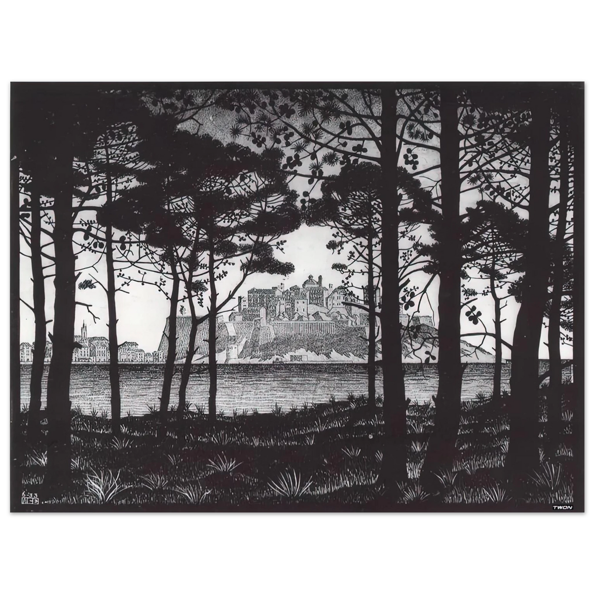 Pineta Of Calvi Corsica by M.C. Escher – art poster