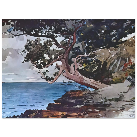 North Road Bermuda by Winslow Homer – art poster, view 2
