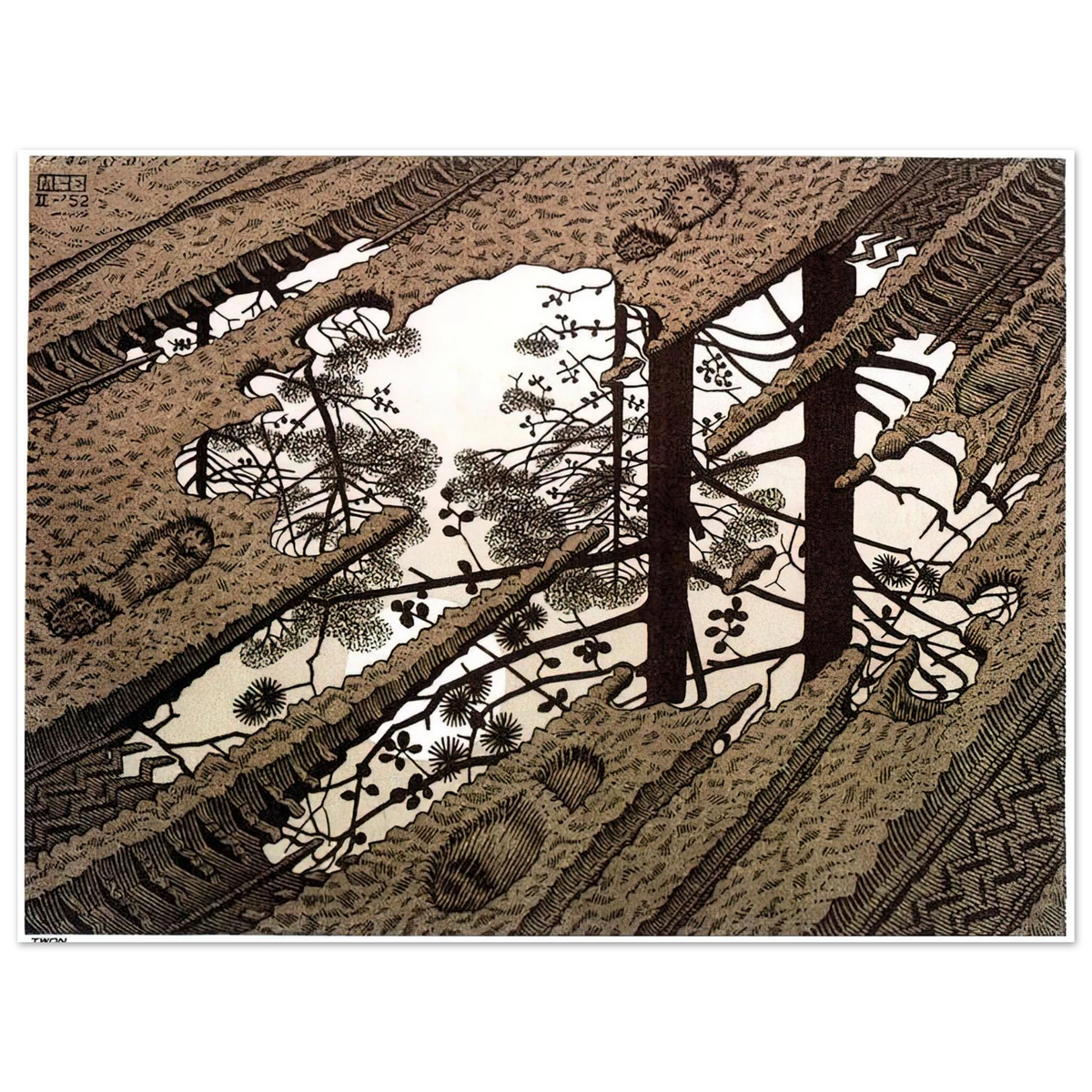 Puddle by M.C. Escher – art poster