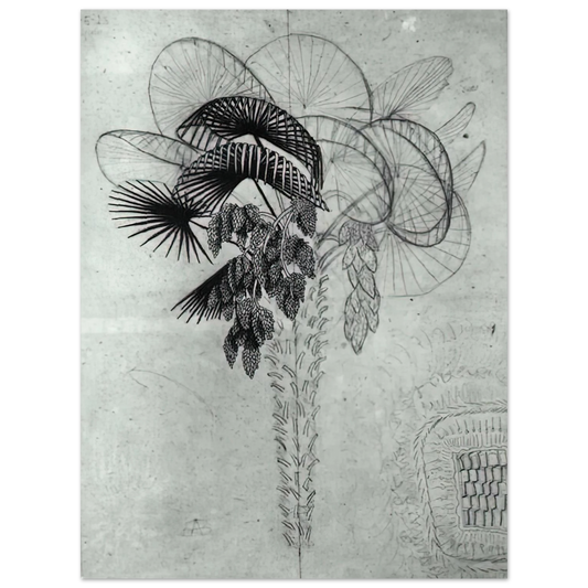 Palm Tree Sketch by M.C. Escher – art poster, view 2