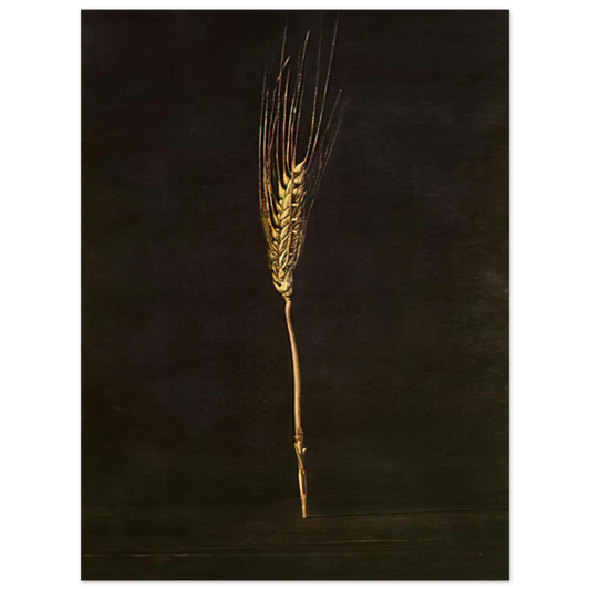 Wheat Ear by Salvador Dali – art poster, view 2