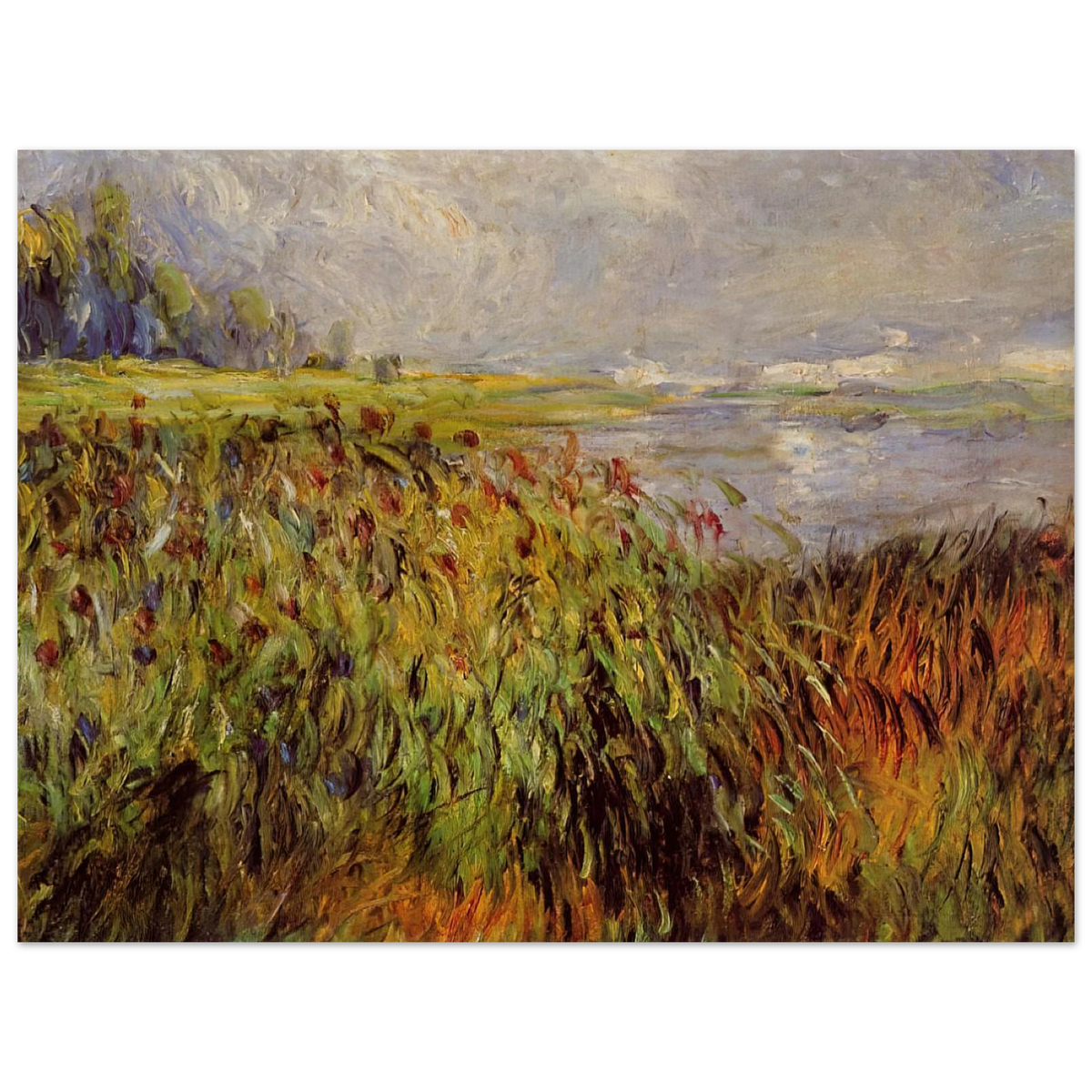 Bulrushes On The Banks Of The Seine by Pierre-Auguste Renoir – art poster