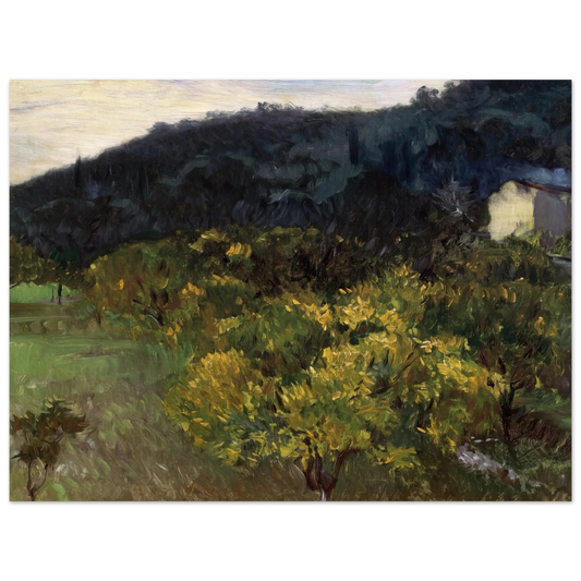 Landscape Near Grasse by John Singer Sargent – art poster, view 2