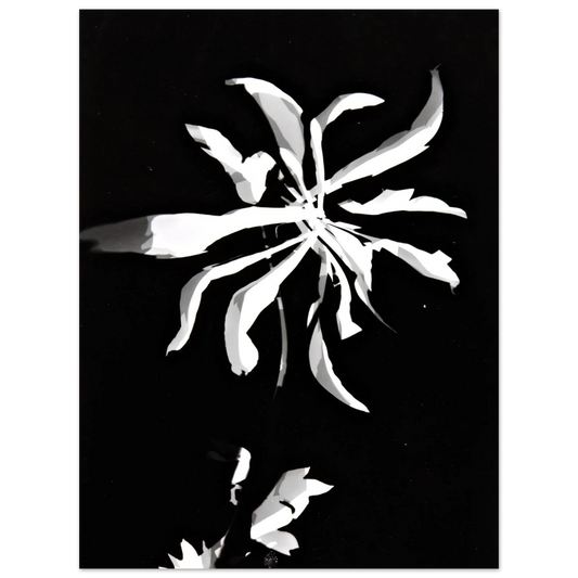 Changing Patterns by Laszlo Moholy-Nagy – art poster, view 2
