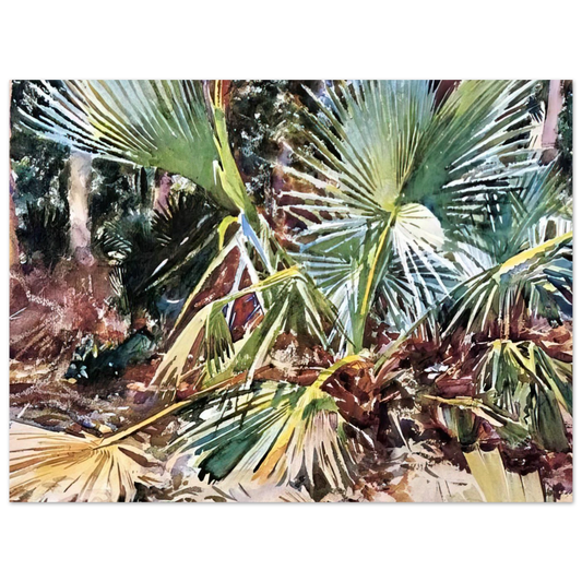 Palmettos, Florida by John Singer Sargent – art poster, view 2
