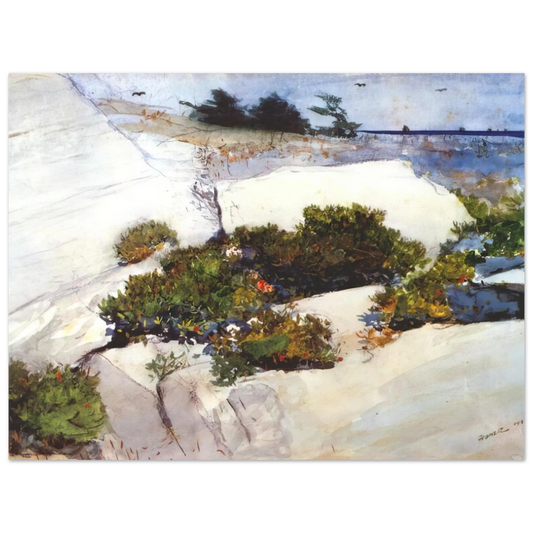 Maine Cliffs by Winslow Homer – art poster, view 2