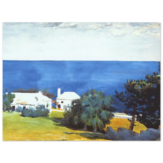 Shore At Bermuda by Winslow Homer – art poster