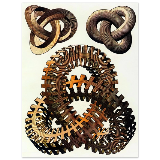 Knots Colour by M.C. Escher – art poster