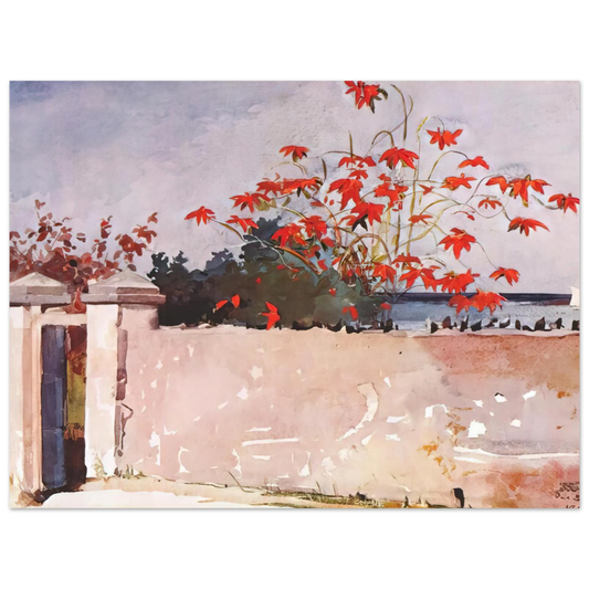 A Wall Nassau by Winslow Homer – art poster, view 2