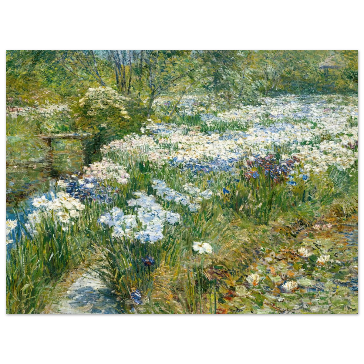 The Water Garden by Childe Hassam – art poster