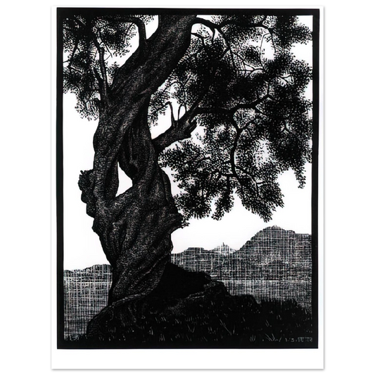 Old Olive Tree Corsica by M.C. Escher – art poster