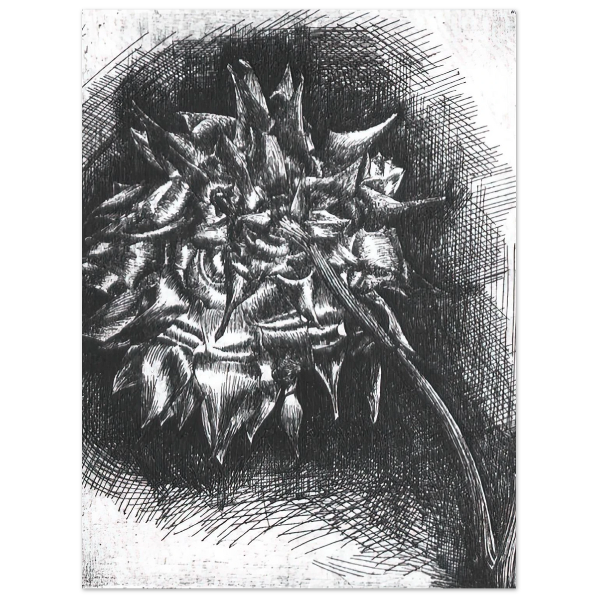 Flower by M.C. Escher – art poster