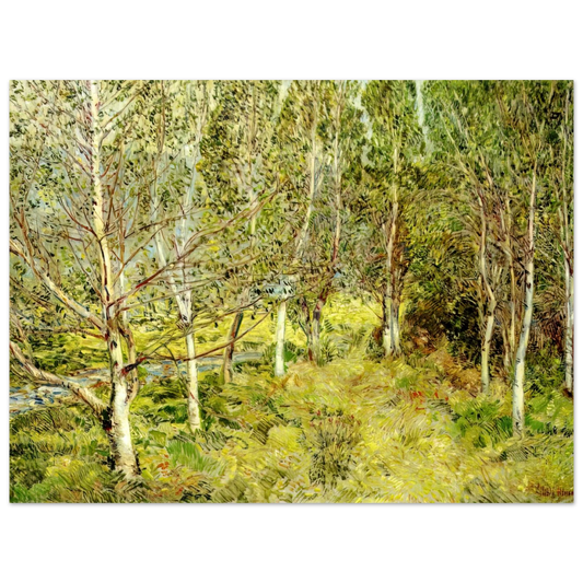 Spring Woods by Childe Hassam – art poster