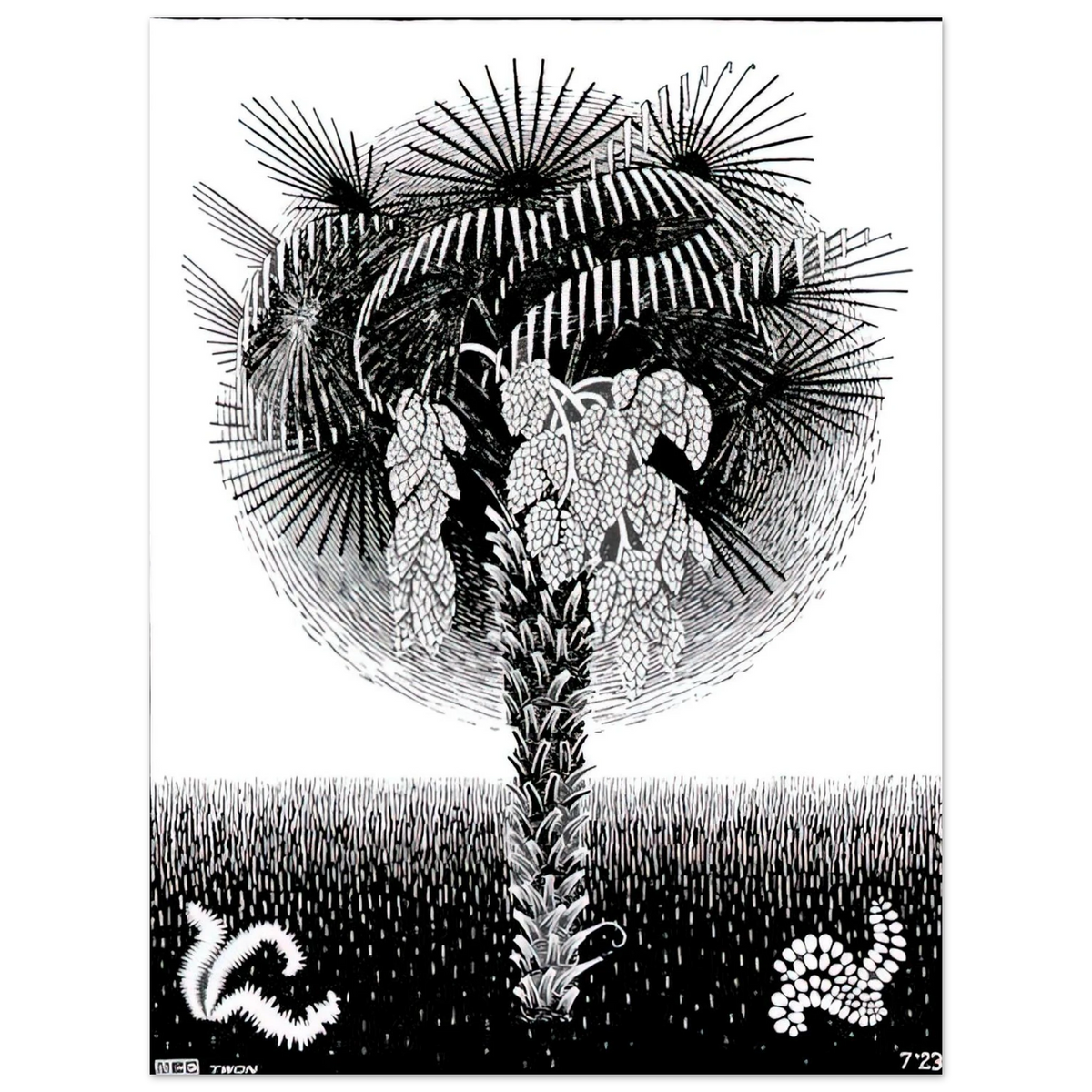 Palm Tree by M.C. Escher – art poster, view 2