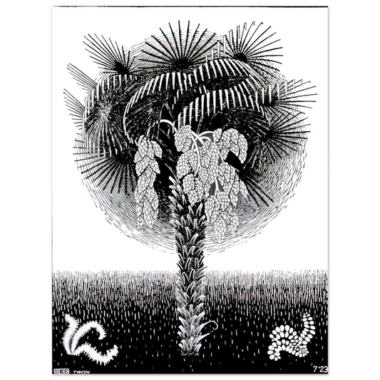 Palm Tree by M.C. Escher – art poster, view 2