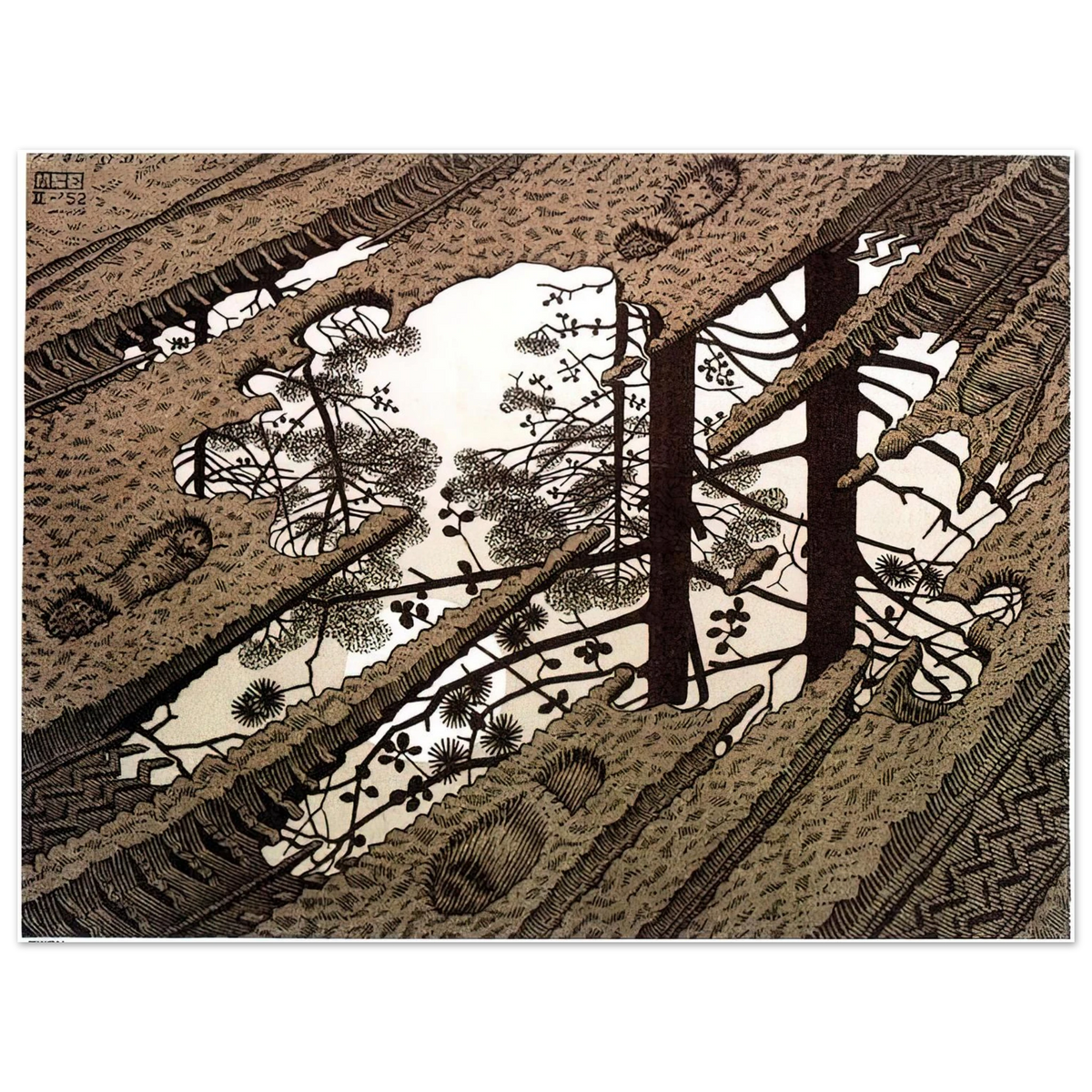 Puddle by M.C. Escher – art poster, view 2