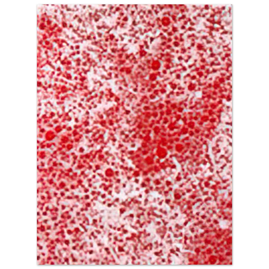 Beyond The End Of The Century by Yayoi Kusama (1987) – art poster