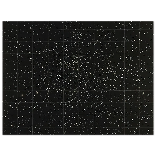Strata by Vija Celmins (1983) – art poster