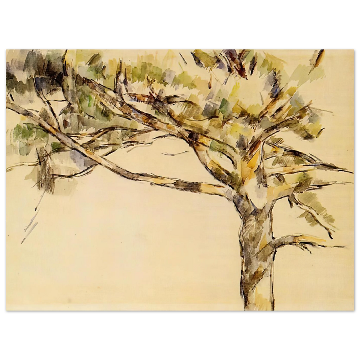 Large Pine by Paul Cézanne – art poster