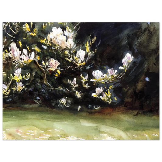 Magnolias by John Singer Sargent – art poster