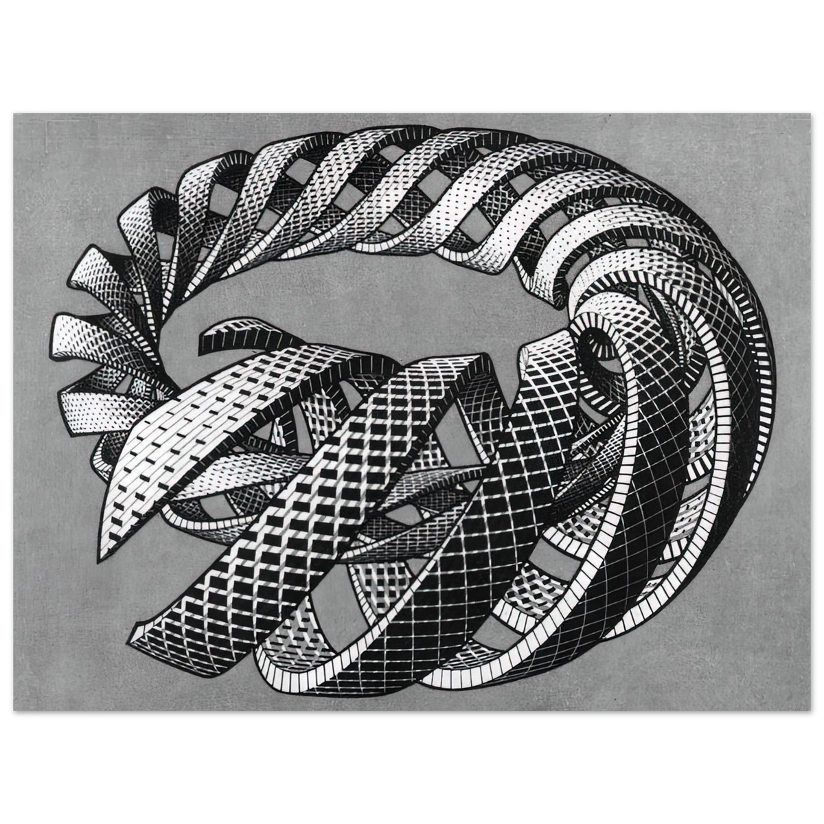 Spirals by M.C. Escher – art poster, view 2