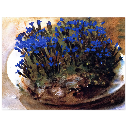 Blue Gentians by John Singer Sargent – art poster