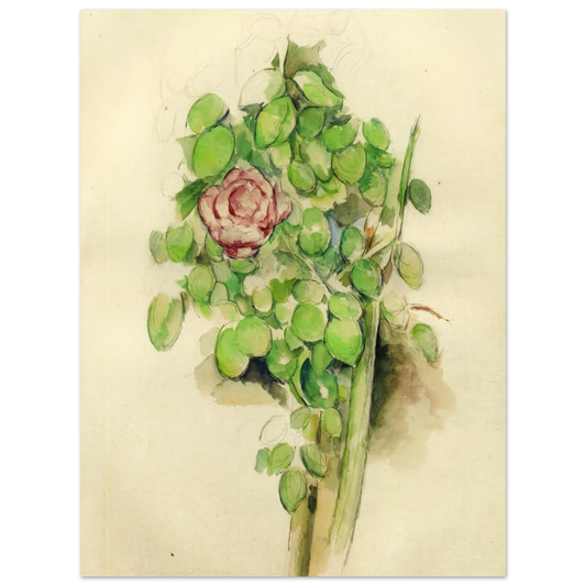 Rose Bush by Paul Cézanne – art poster