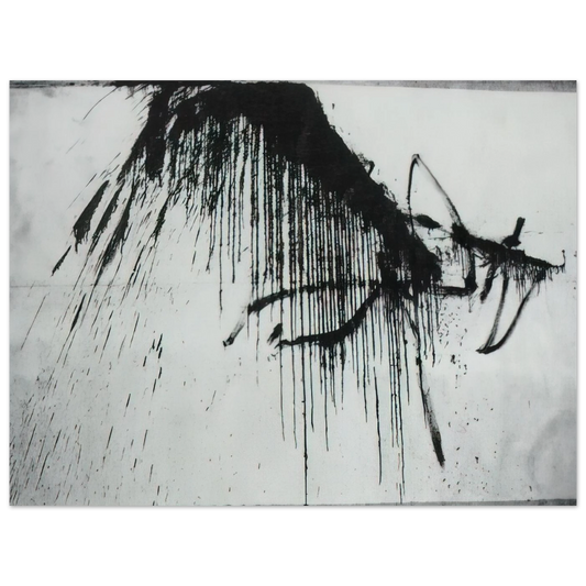 Night In The Hotel Abstract In Black And White by Salvador Dali – art poster, view 2