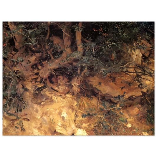 Valdemosa, Majorca Thistles And Herbage On A Hillside by John Singer Sargent – art poster, view 2