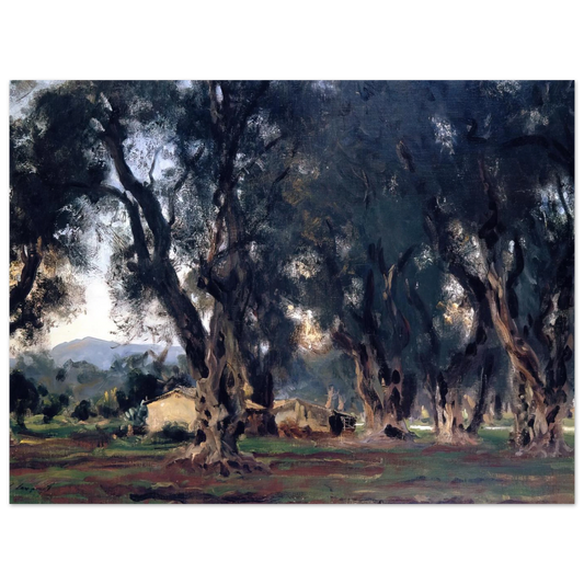 Olive Trees At Corfu by John Singer Sargent – art poster
