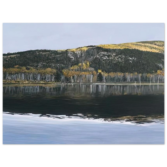 Beaver Dam Pond Acadia National Park by Richard Estes (2009) – art poster