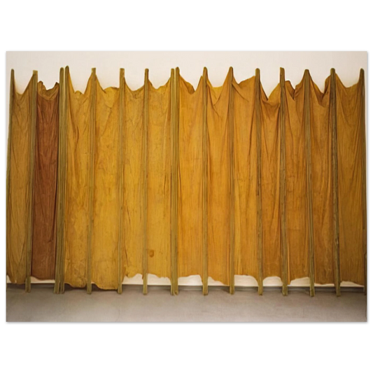 Expanded Expansion by Eva Hesse (1969) – art poster