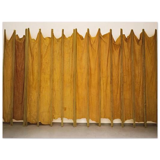 Expanded Expansion by Eva Hesse (1969) – art poster, view 2
