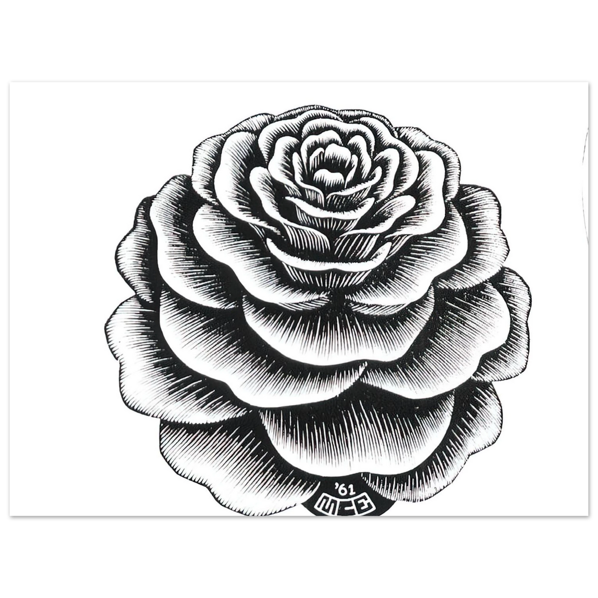 Flower 1 by M.C. Escher – art poster, view 2