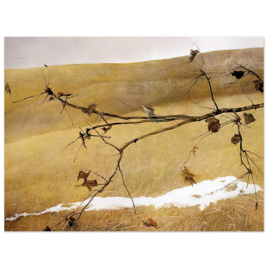 Long Limb by Andrew Wyeth – art poster