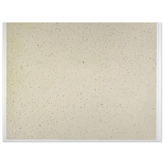 Night Sky 2 Reversed by Vija Celmins (2002) – art poster